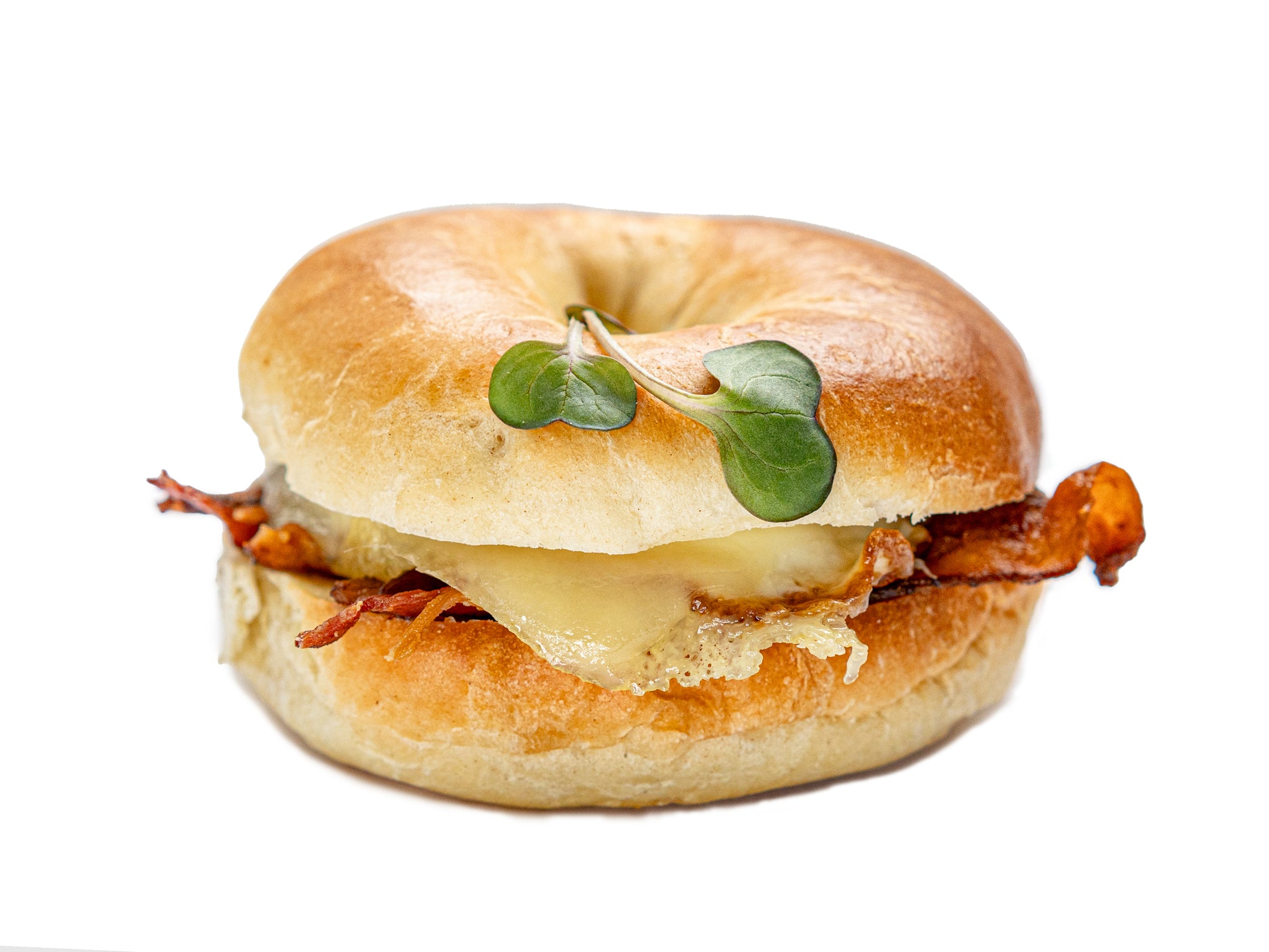 Bagel Sandwich