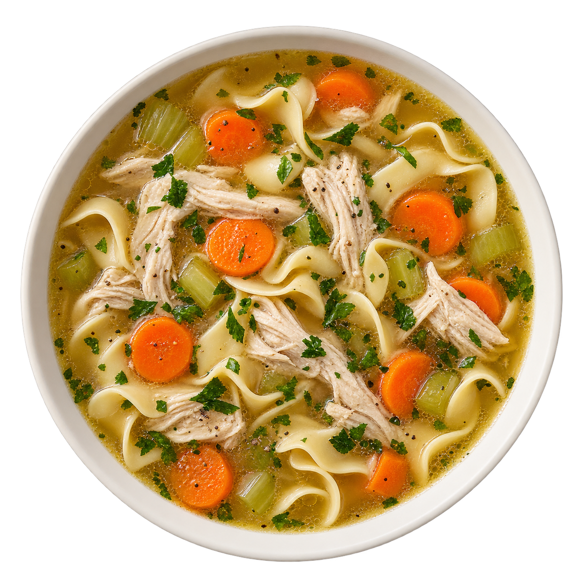 Chicken Noodle Soup